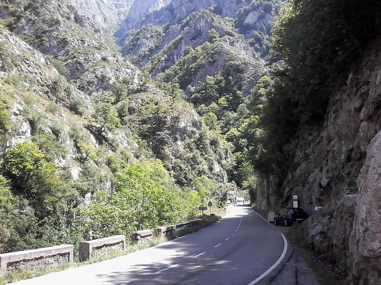 Picos de Europa N-625